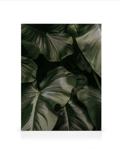 Deep Green Leaves Canvas print