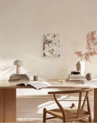 White Petals Canvas